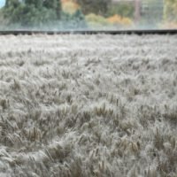 Souverains rugs and carpets, tailer-made from India, Nepal or Portugal